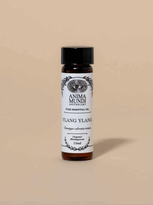 Ylang-Ylang Essential Oil