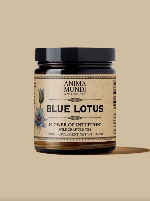 Blue Flower | Blossom of Intuition