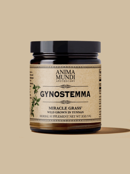 GYNOSTEMMA Tea